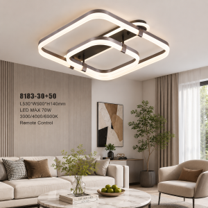 Lampu Plafon LED Modern 8183-30+50