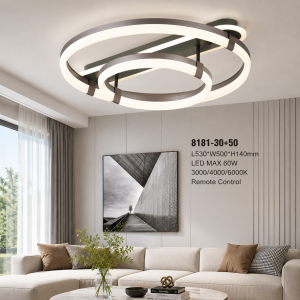 Lampu Plafon LED Modern 8181-30+50