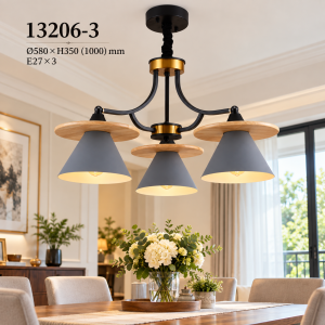 Lampu Gantung 13206-3